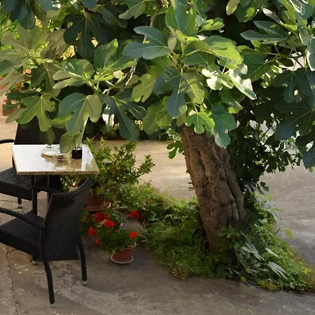 Gasthof Marina Vodice