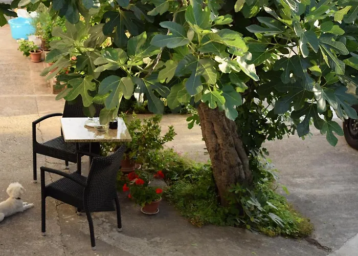 Casa de hóspedes Marina Vodice