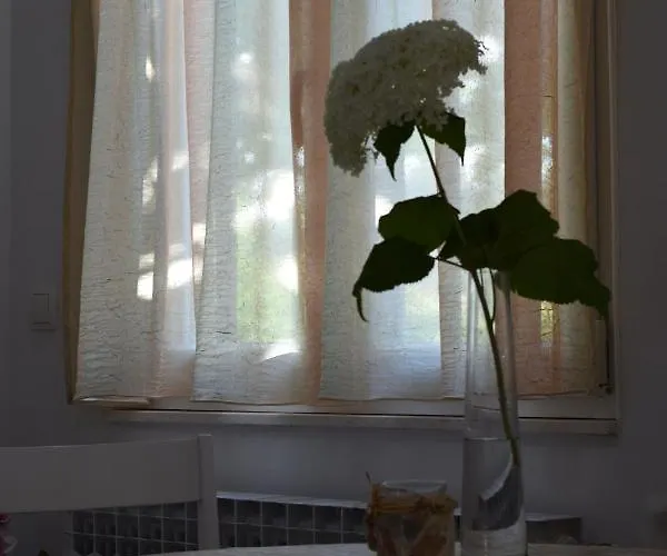 Casa de hóspedes Marina 3*